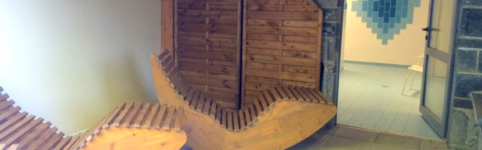 Sauna Bad ELster